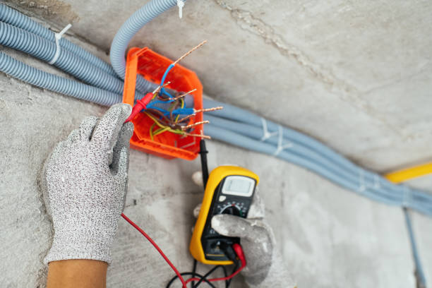 Best Electric Panel Repair  in Thoreau, NM